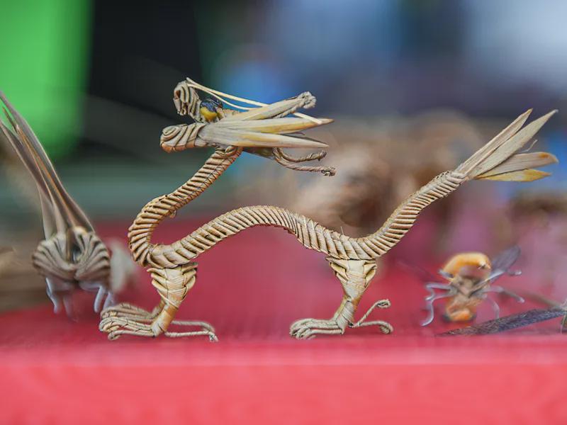 开云体育下载-2026盐城足球超级联赛射阳主场,吃喝玩乐福利全攻略→